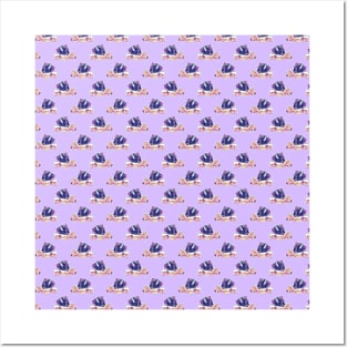 Fairy Turtle Pattern Posters and Art